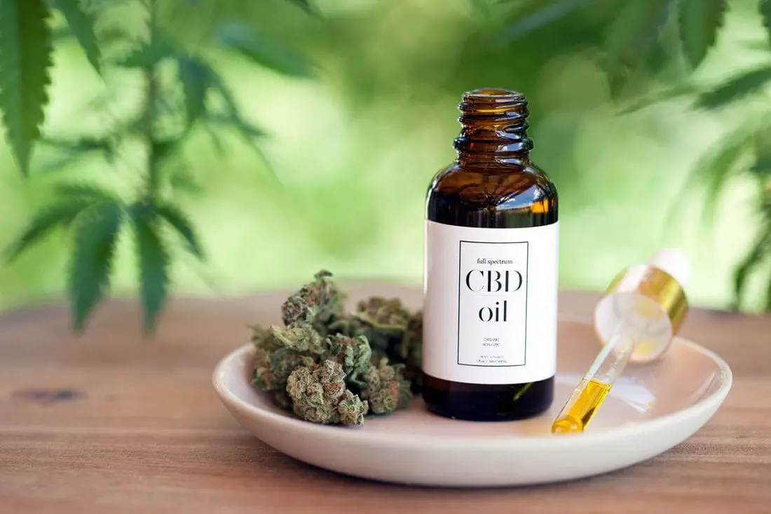 CBD Products in Boca Raton: Quality, Variety, and Value